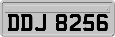 DDJ8256