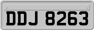 DDJ8263