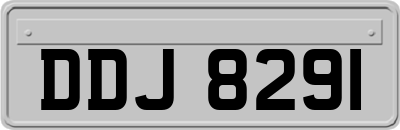 DDJ8291