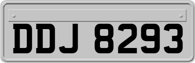 DDJ8293