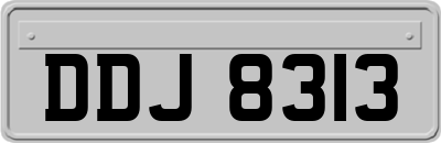 DDJ8313