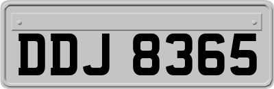 DDJ8365