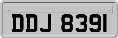 DDJ8391