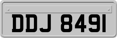DDJ8491