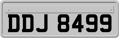 DDJ8499