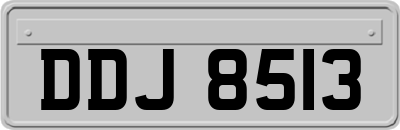 DDJ8513