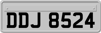 DDJ8524