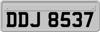 DDJ8537