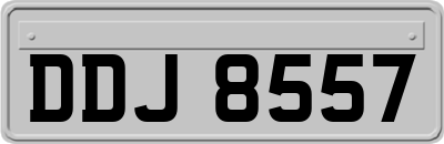 DDJ8557