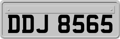 DDJ8565