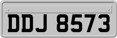 DDJ8573