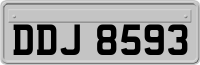 DDJ8593