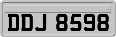 DDJ8598