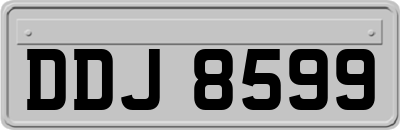 DDJ8599