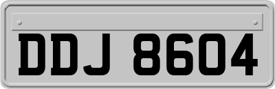 DDJ8604