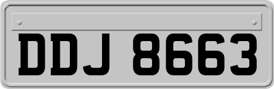 DDJ8663