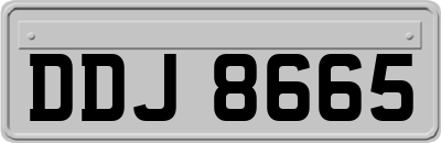 DDJ8665