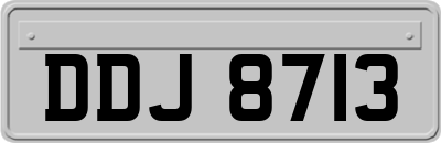 DDJ8713
