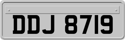 DDJ8719