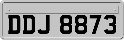 DDJ8873