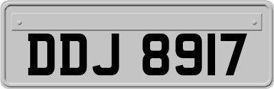 DDJ8917