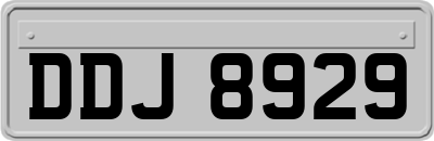 DDJ8929