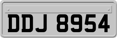 DDJ8954