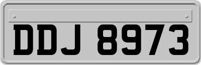 DDJ8973