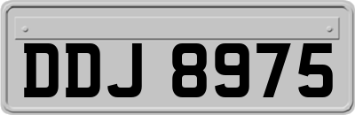 DDJ8975