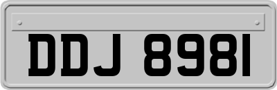 DDJ8981
