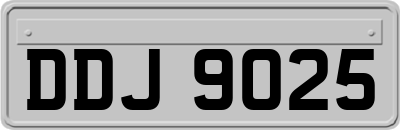 DDJ9025