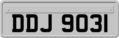 DDJ9031