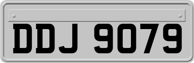 DDJ9079