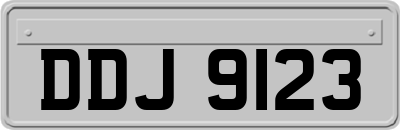 DDJ9123