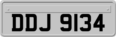 DDJ9134