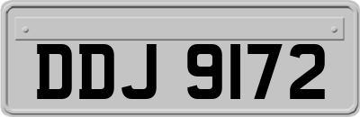 DDJ9172