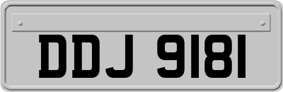 DDJ9181