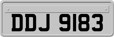 DDJ9183