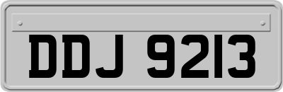 DDJ9213