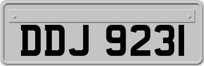 DDJ9231