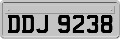 DDJ9238