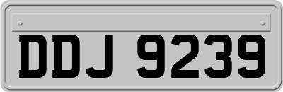 DDJ9239