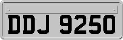 DDJ9250