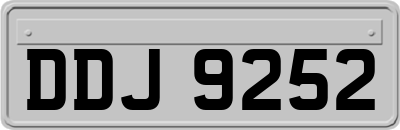 DDJ9252