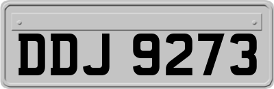DDJ9273