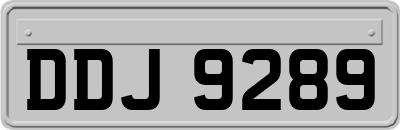 DDJ9289