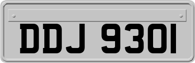 DDJ9301