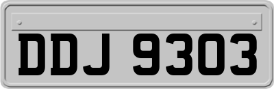 DDJ9303