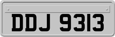 DDJ9313