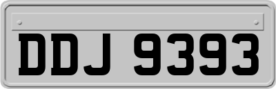 DDJ9393